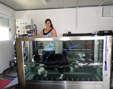 Remise en forme pour chiens/chats dans le Haut-Rhin (68) Rixheim