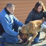 Formation aux premiers secours canin félin à Illzach dans le Haut Rhin Riedisheim 9