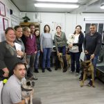 Formation aux premiers secours canin félin à Illzach dans le Haut Rhin Illzach 30