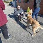 Formation aux premiers secours canin félin à Illzach dans le Haut Rhin Colmar 1