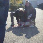 Formation aux premiers secours canin félin à Illzach dans le Haut Rhin Wittelsheim 4