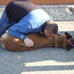 Formation aux premiers secours canin félin à Illzach dans le Haut Rhin Mulhouse 10