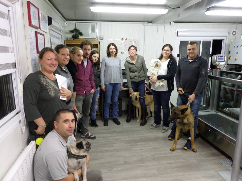 Formation aux premiers secours canin félin à Illzach dans le Haut Rhin Cernay