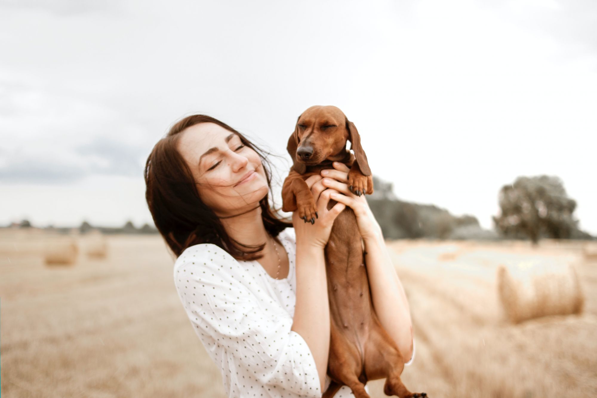 Bien Masser Le Ventre De Votre Chien Zen Dog Mulhouse