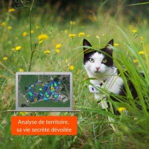 gps pour chien et chat Rixheim 0