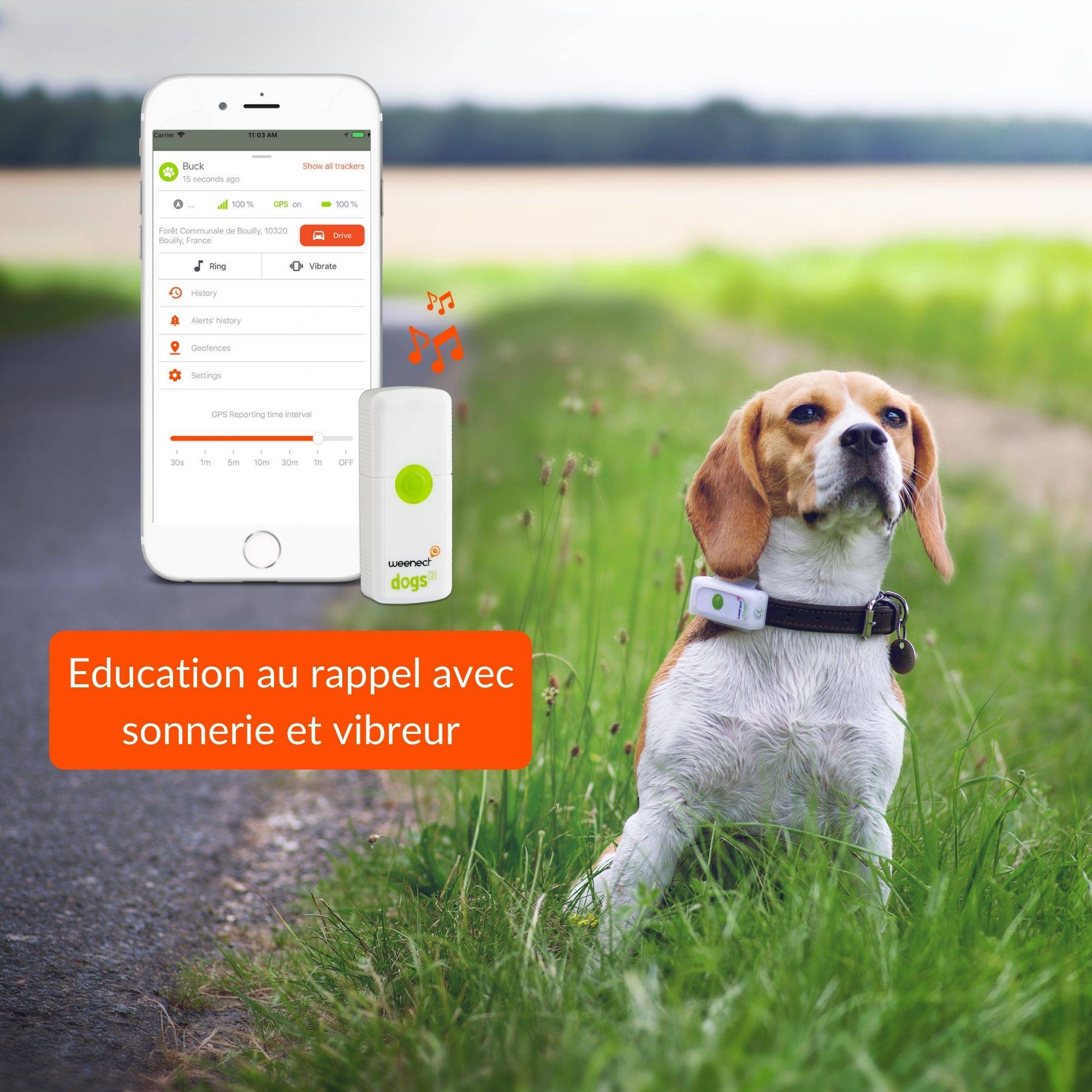 gps pour chien et chat - Zen' Dog