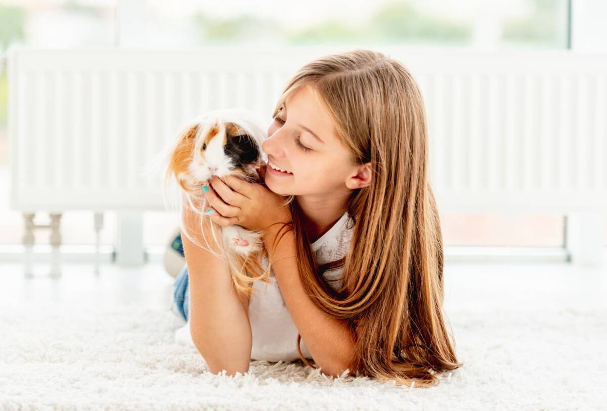 Quels sont les effets de la médiation animale sur le développement émotionnel des enfants ? Riedisheim