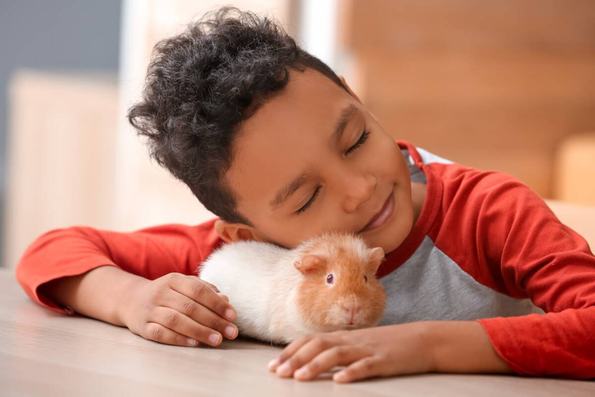 Quels sont les bienfaits de la médiation animale pour les personnes souffrant de stress post-traumatique ? Wittelsheim
