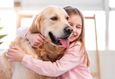 ADOBESTOCK_441942840 400X276 | Zen'dog Pourquoi les chiens sont-ils les meilleurs alliés pour aider les enfants à surmonter leurs troubles de la communication ? Wittenheim 0