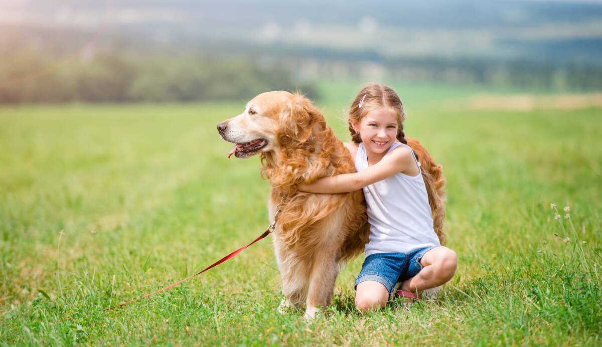 Pourquoi les chiens sont-ils les meilleurs alliés pour aider les enfants à surmonter leurs troubles de la communication ? Wittenheim