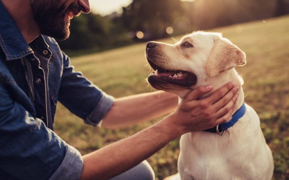 MEDIATION_ANIMALE_CHIEN 1200X750 | Zen'dog Pourquoi les séances de médiation animale sont-elles si efficaces pour apaiser les troubles du comportement chez l’adulte handicapé ? Riedisheim